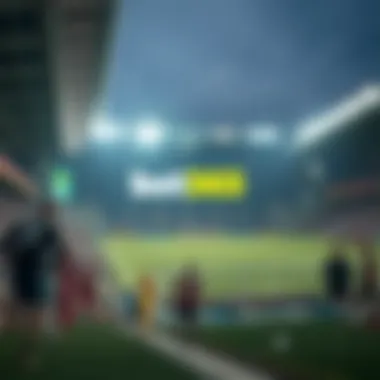 Magnificent bet365 배당 분석 및 전략 Magnificent bet365 배당 분석 및 전략