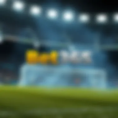 Magnificent Bet365의 활용과 전략에 대한 깊이 있는 탐구 Magnificent Bet365의 활용과 전략에 대한 깊이 있는 탐구