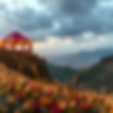 Magnificent 베팅 세계의 변화: Drops와 Wins의 이해
