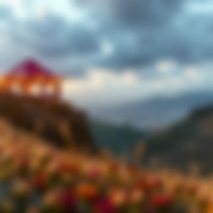 Magnificent 베팅 세계의 변화: Drops와 Wins의 이해