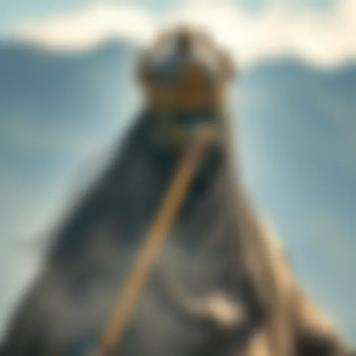 Magnificent 복싱 배당률의 심층 분석