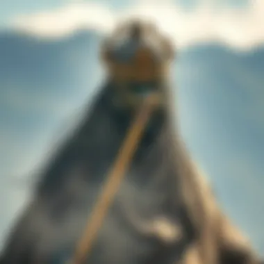 Magnificent 복싱 배당률의 심층 분석 Magnificent 복싱 배당률의 심층 분석