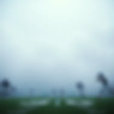 Magnificent NFL 베팅 전략의 모든 것
