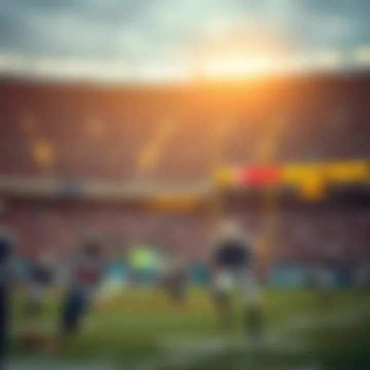 Magnificent NFL 베팅의 모든 것: 전략, 통계 및 책임 있는 베팅