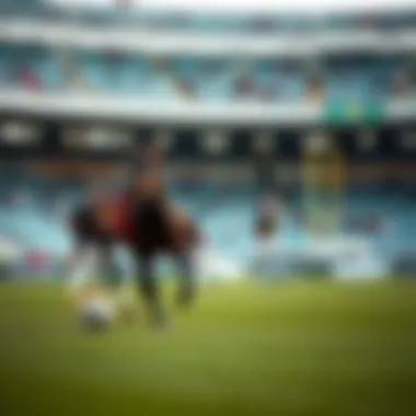 Magnificent 라이브 스트리밍 축구: 현대 스포츠 시청의 새로운 경향과 그 영향 Magnificent 라이브 스트리밍 축구: 현대 스포츠 시청의 새로운 경향과 그 영향