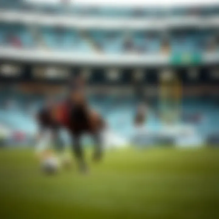 Magnificent 라이브 스트리밍 축구: 현대 스포츠 시청의 새로운 경향과 그 영향 Magnificent 라이브 스트리밍 축구: 현대 스포츠 시청의 새로운 경향과 그 영향