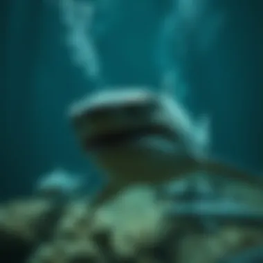 Magnificent Razor Shark: 베팅 전략과 통계의 심층 분석 Magnificent Razor Shark: 베팅 전략과 통계의 심층 분석