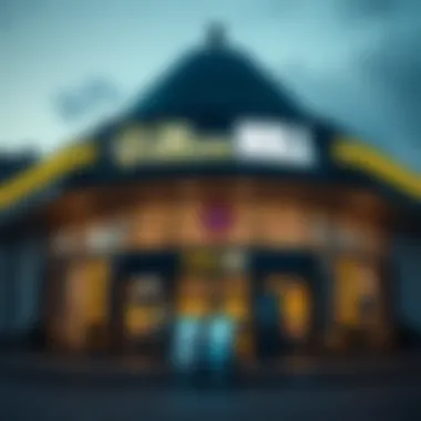 Magnificent William Hill 보너스에 대한 심층적인 탐구 Magnificent William Hill 보너스에 대한 심층적인 탐구