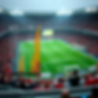 Visual representation of player statistics