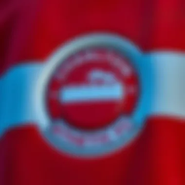 Team's emblem and branding