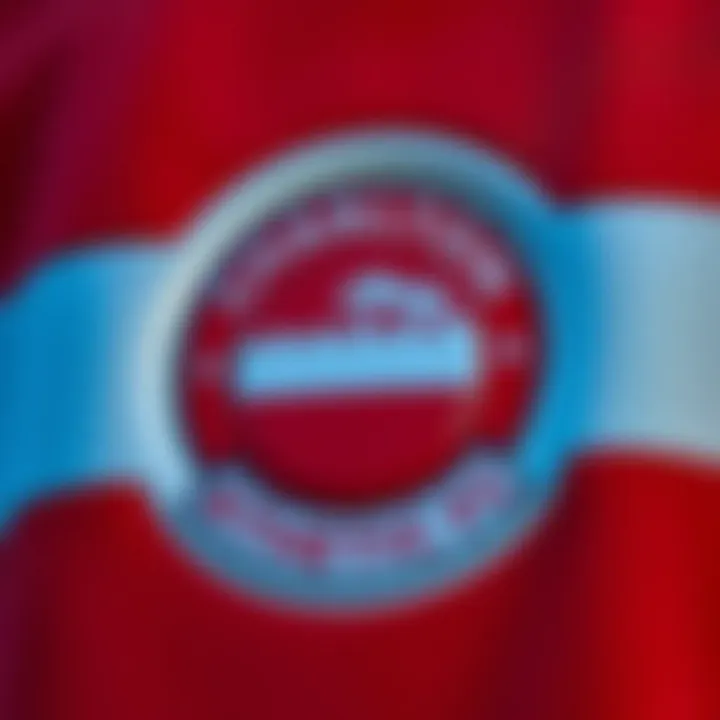 Team's emblem and branding