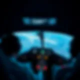 A strategic view of flight simulation gameplay