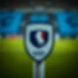 The emblem of the French U21 national football team