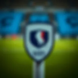 The emblem of the French U21 national football team