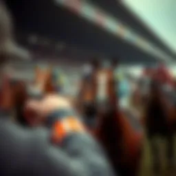 Historical perspective of the Grand National