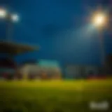 하키 배당률의 이해와 활용 Introduction