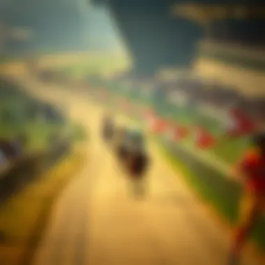 Historical timeline of Indiarace