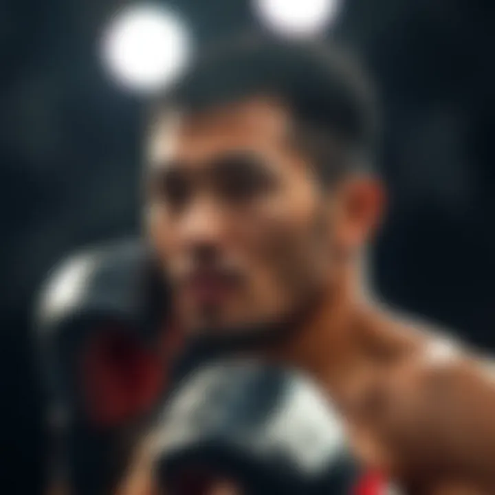 Notable MMA 토토의 세계: 분석과 접근법