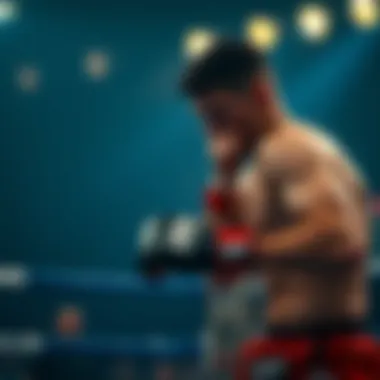 MMA 토토의 세계: 분석과 접근법 Summary