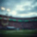 NFL 베팅의 모든 것: 전략, 통계 및 책임 있는 베팅 Introduction