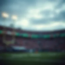 NFL 베팅의 모든 것: 전략, 통계 및 책임 있는 베팅 Introduction