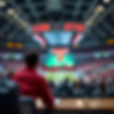 Detailed analysis of the Superbet domain structure