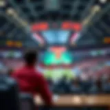 Understanding the Structure of the Superbet Domain Detailed analysis of the Superbet domain structure