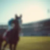 유로파 카지노의 심층 분석: 베팅의 진화와 전략 Introduction